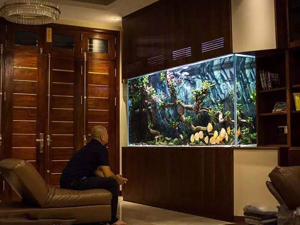 合肥别墅鱼缸定做