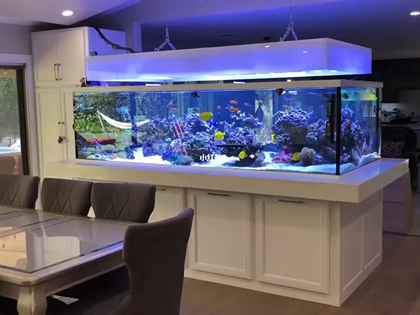 吧台鱼缸