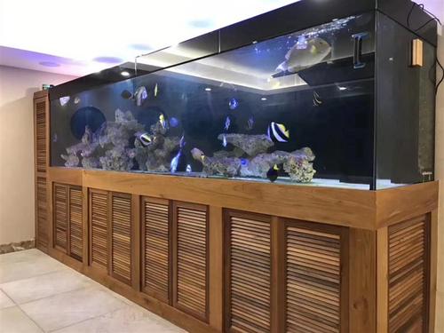 合肥某办公室大型鱼缸